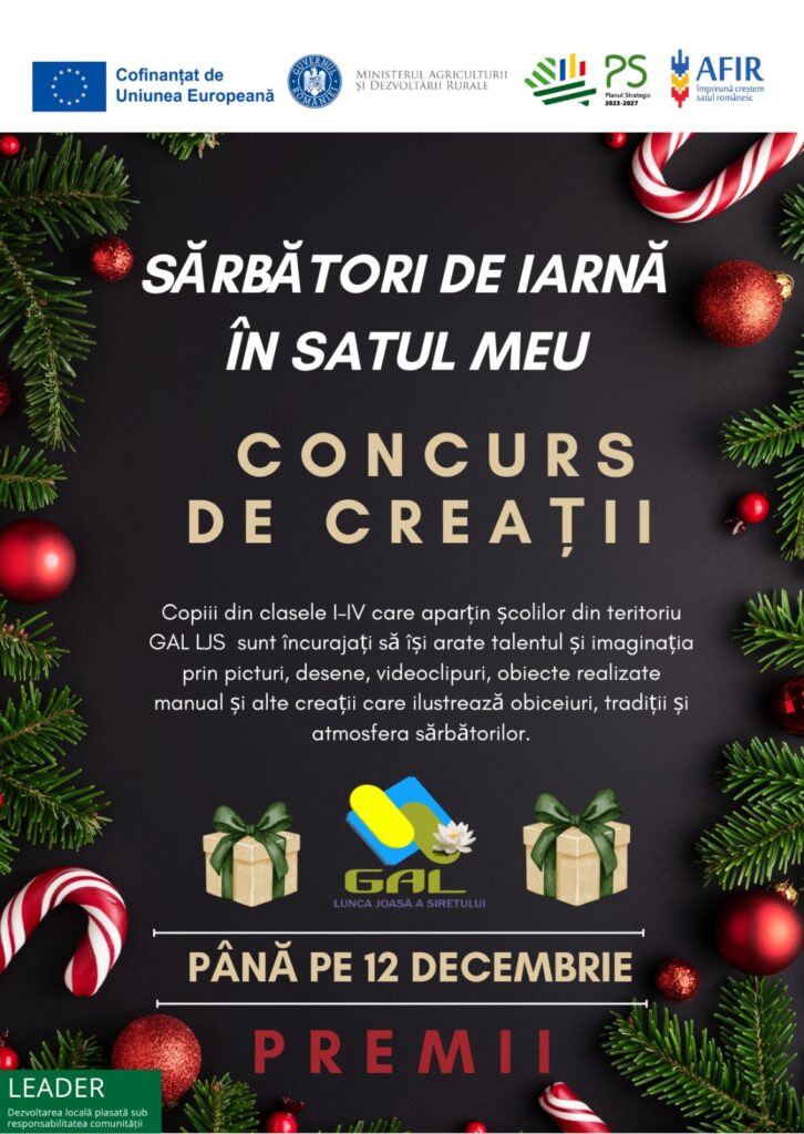 SĂRBĂTORILE DE IARNĂ ÎN SATUL MEU 